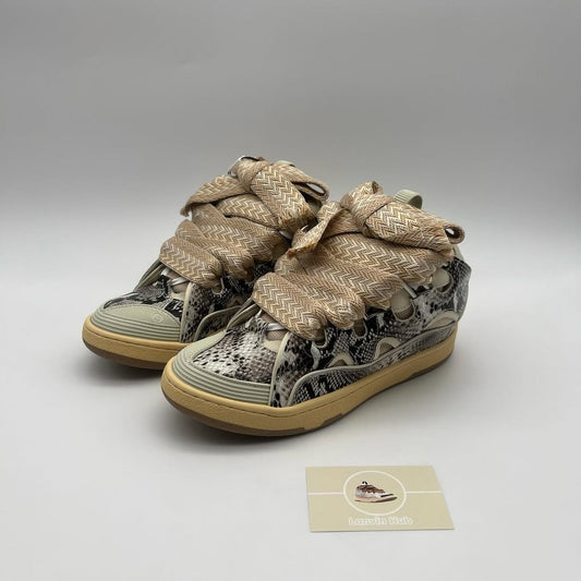 Lanvin Curb Python